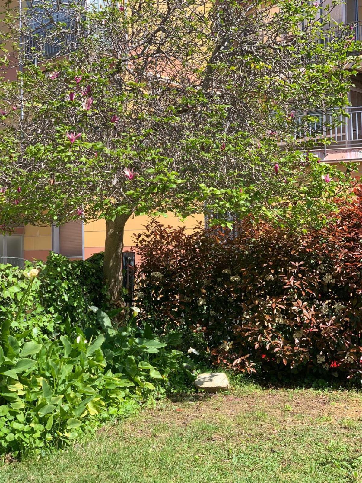 B&B La Magnolia 萨沃纳 外观 照片